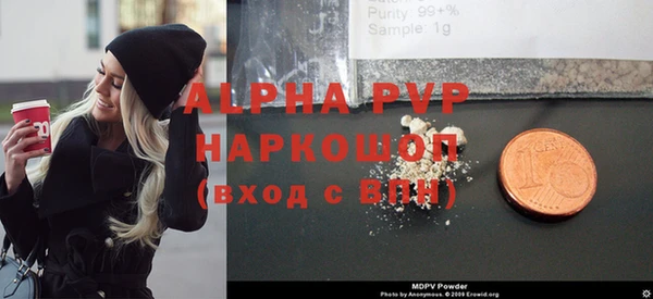 индика Беслан