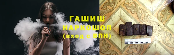 индика Беслан