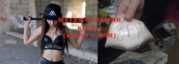 ПСИЛОЦИБИНОВЫЕ ГРИБЫ Бикин