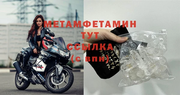 ПСИЛОЦИБИНОВЫЕ ГРИБЫ Бикин