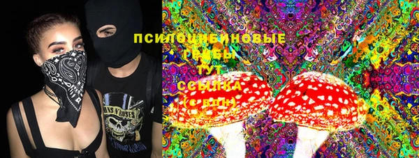 ПСИЛОЦИБИНОВЫЕ ГРИБЫ Бикин
