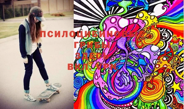 ПСИЛОЦИБИНОВЫЕ ГРИБЫ Бикин