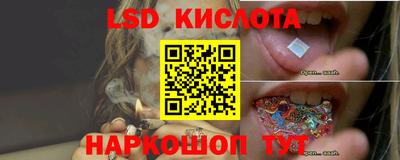 PSILOCYBIN Будённовск