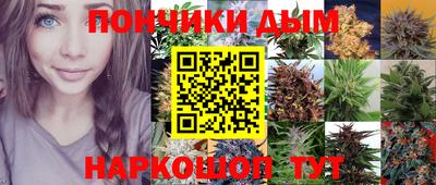 PSILOCYBIN Будённовск