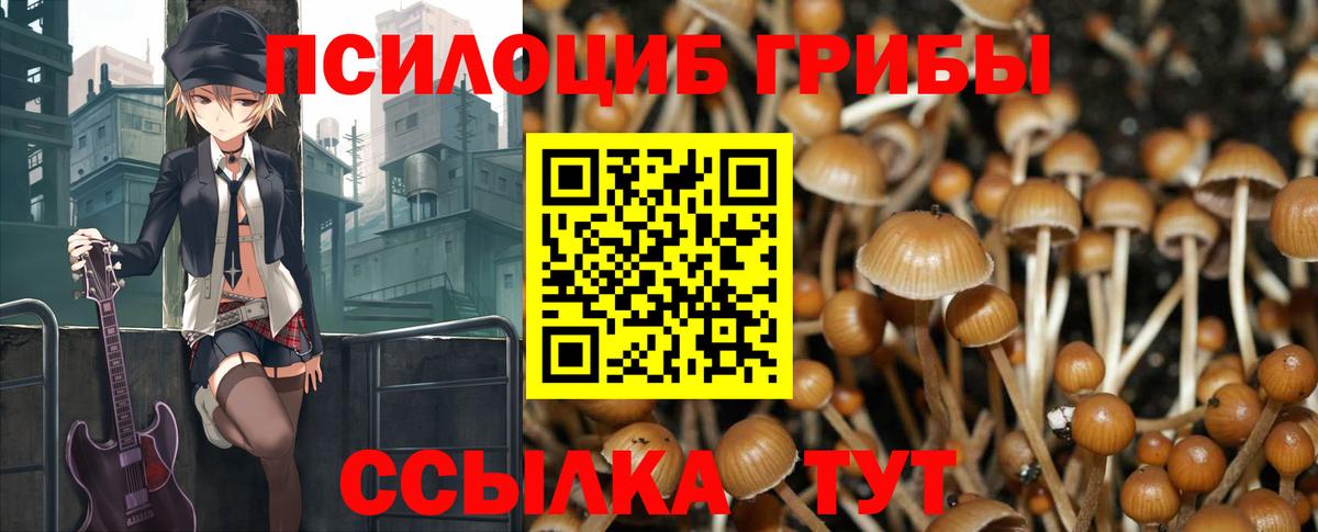 Псилоцибиновые грибы GOLDEN TEACHER  Когалым 