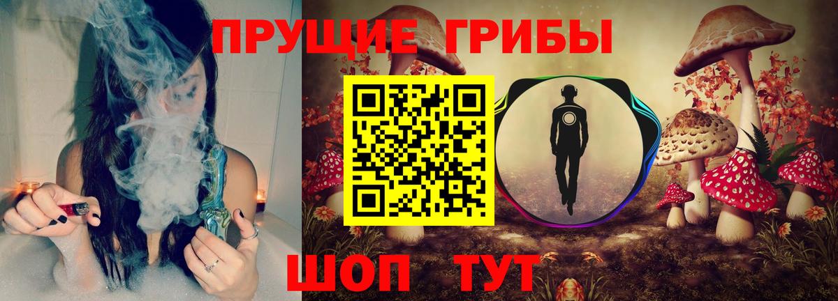Галлюциногенные грибы Cubensis Когалым