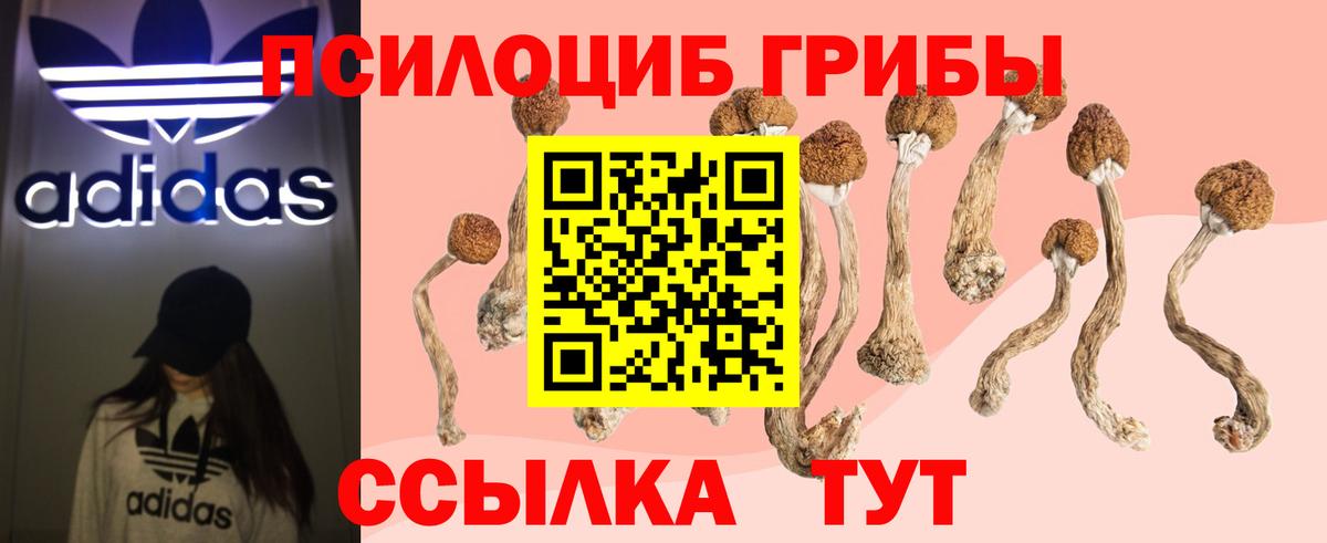 Галлюциногенные грибы мицелий  Псилоцибиновые грибы ЛСД  Когалым  Вход с VPN 